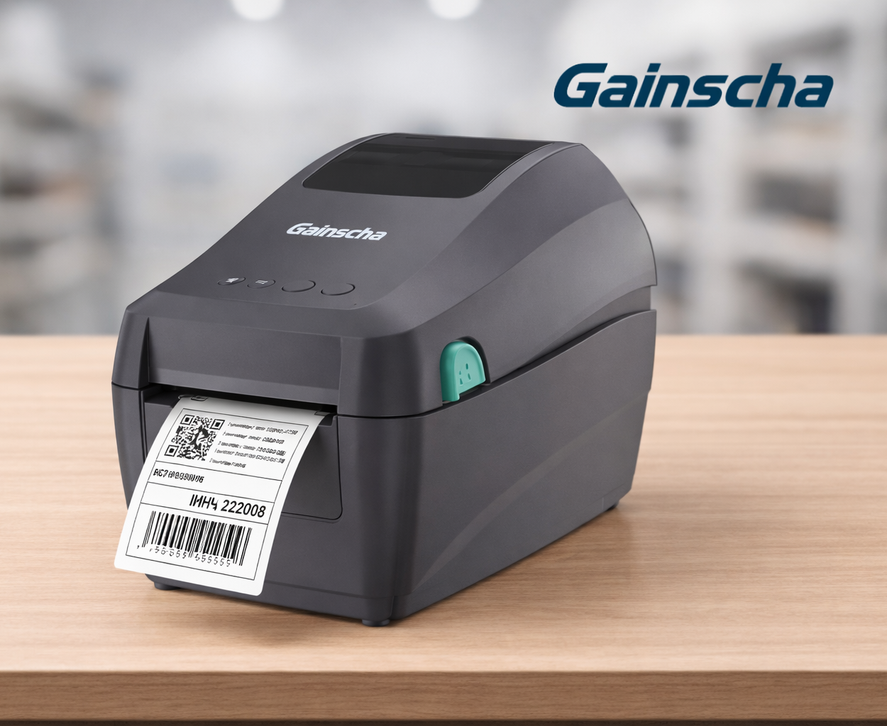 GAINSCHA GS-2208D | 2 años de garantía |