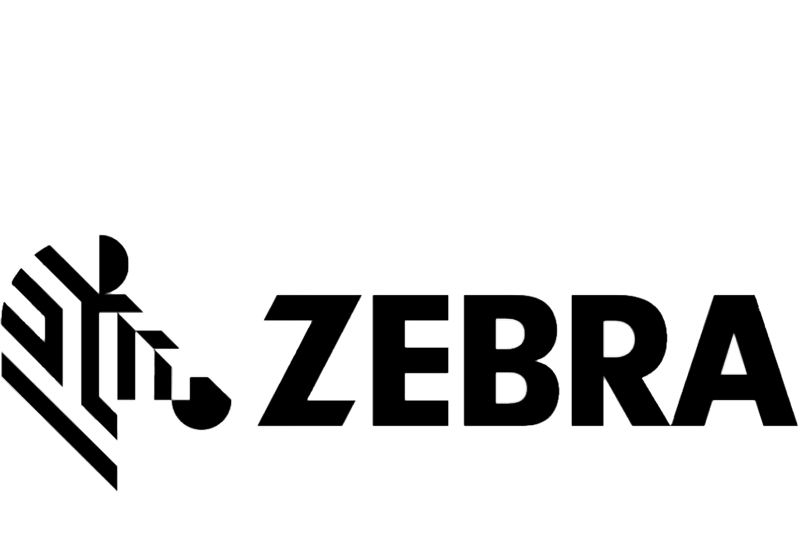 lOGOTIPO ZEBRA ibis